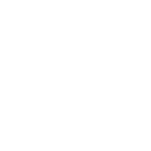 Internet icon.svg